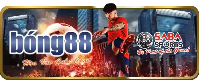Cộng đồng sinlebet sôi động